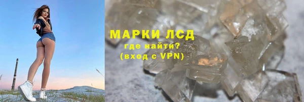 спайс Новодвинск